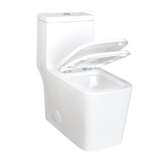 Siphonic One Piece Toilet  AN5019