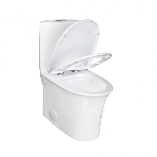 Siphonic One Piece Toilet  AN5020