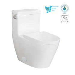 Siphonic One Piece Toilet  AN5026